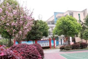 丹棱中学是初中加高中吗_丹棱中学在哪里