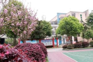 眉山市丹棱中学高中2021年录取分数线