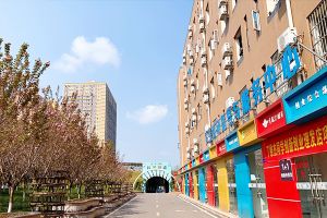 成都希望职业学校师资怎么样