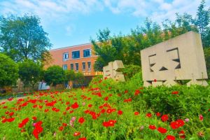 五月花学校招生电话和入学时间