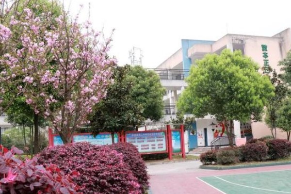 眉山丹棱中学好吗