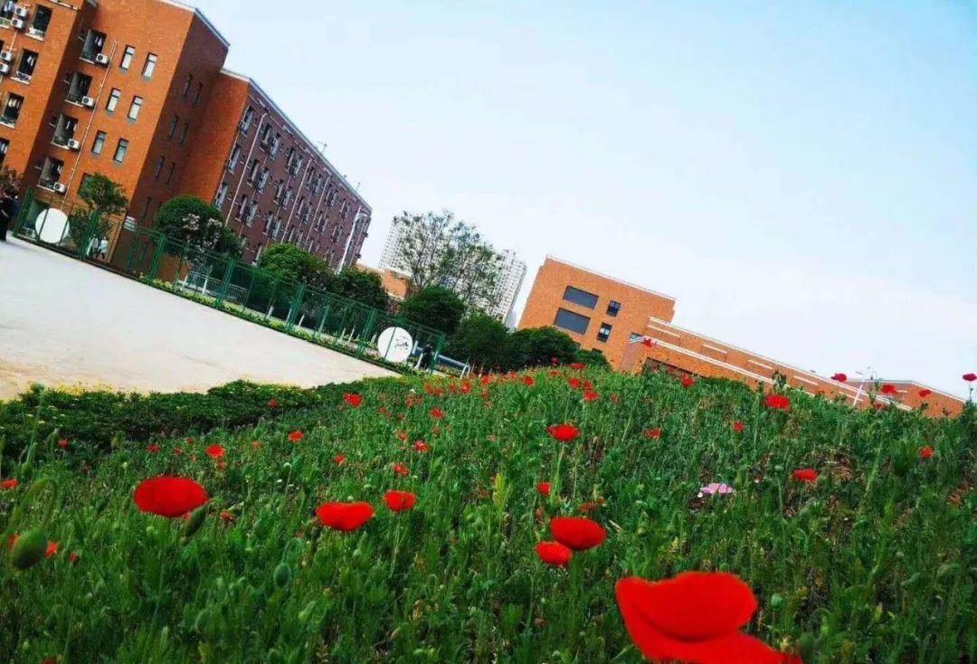 五月花学校经济管理专业怎么样