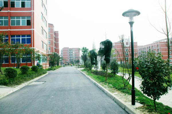 四川城市技师学院怎么样