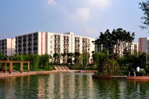 2024年成都市新津区成外学校学校简介_办学思路是什么