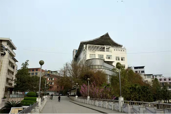 四川省安岳实验中学