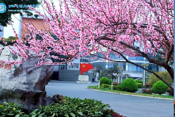 四川省江油中学环境