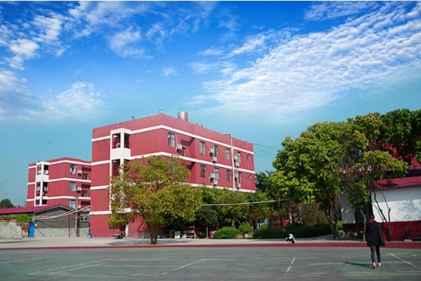 眉山育英实验学校分数线