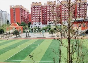 都江堰市领川实验学校口碑怎么样