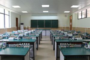 广元天立学校今年的录取分数线是多少