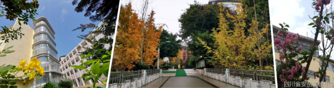 资阳安岳实验中学