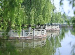 四川现代艺术学校一个艺术的摇篮基地