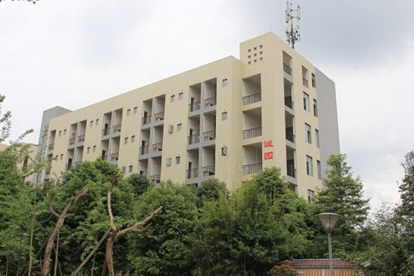 大邑职高有什么专业