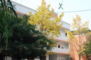 四川省大邑中学校风好吗 大邑中学地址在哪里