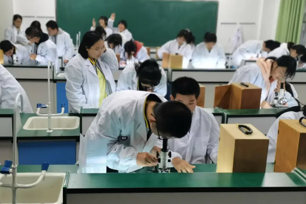 都江堰市领川实验学校在什么地方