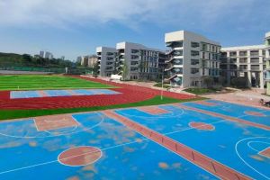 仁寿清水中学和天府新区实验中学是一个学校吗