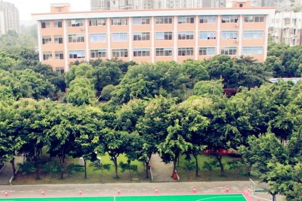 四川现代艺术学校招生条件