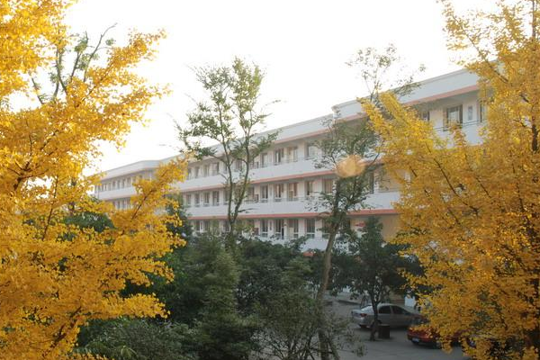 大邑中学师资怎么样