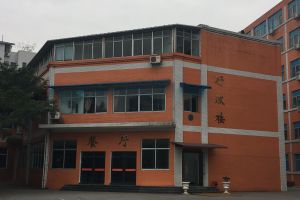 四川现代艺术学校艺考政策解读