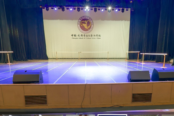 成都市文化艺术学校招生条件
