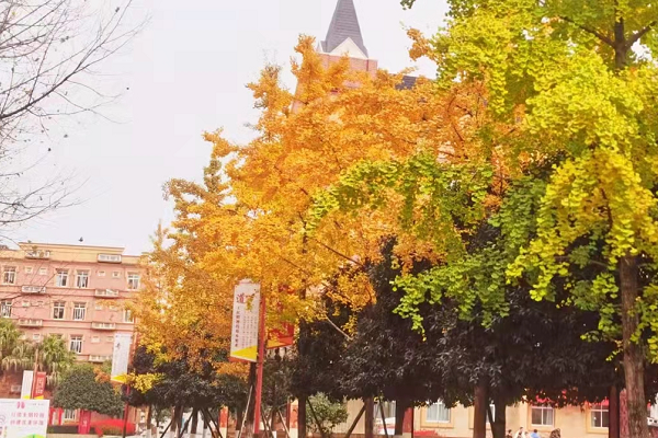 四川五月花技师学院