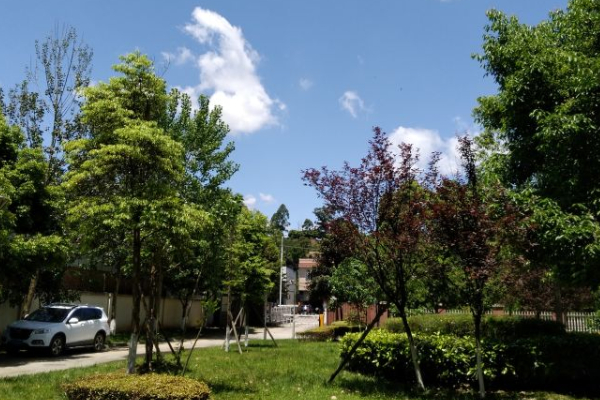 蒲江县职业中专学校