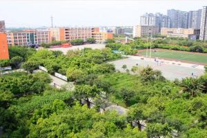 四川新华电脑学院2022年招生简章招生专业