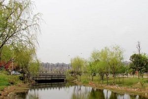 郫都四中录取分数线2021年