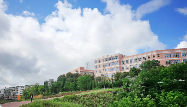 南充卫生学校就业