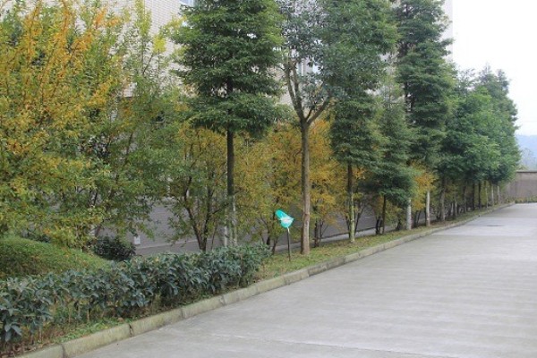 大邑职高