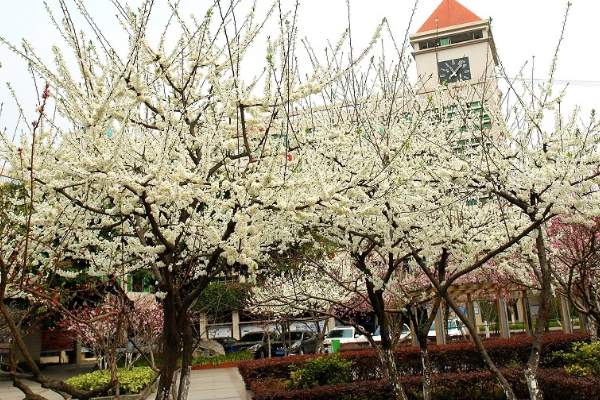 四川省江油中学