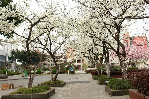 江油中学录取分数线多少