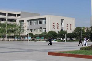 天府新区实验中学是公立还是私立