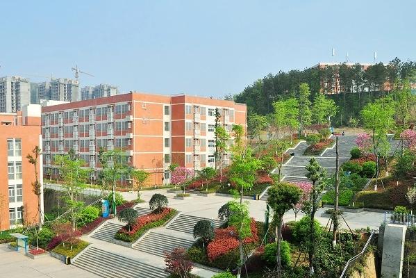 绵阳外国语实验学校口碑