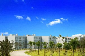 大邑职高2022年招生计划