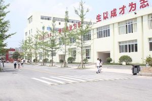 成都新运职业学校2022年招生简章和招生条件