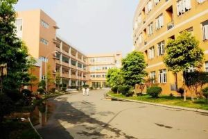 成都市新津区实验高级中学是公立学校吗