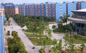 2024年成都市新津区成外学校学校简介_办学思路是什么