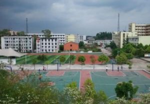 2024年成都市新津区成外学校学校简介_办学思路是什么
