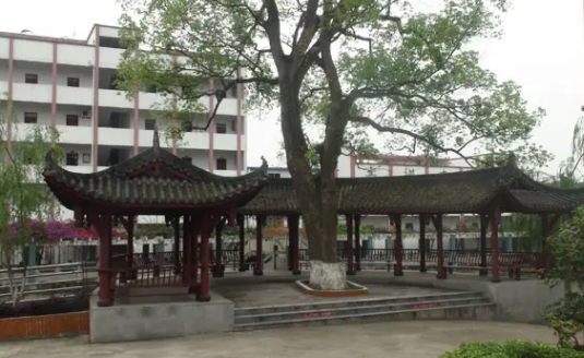 合江县先市职业高级中学校