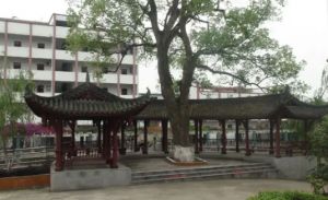 合江县先市职业高级中学校2022年招生分数线