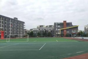 2024年成都市新津区成外学校学校简介_办学思路是什么