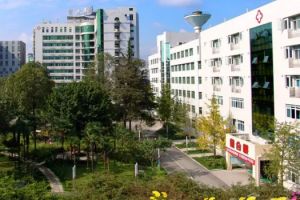 达州中医学校2022年招生分数线