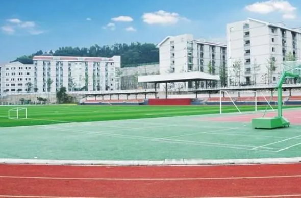 绵阳理工学院招生要求