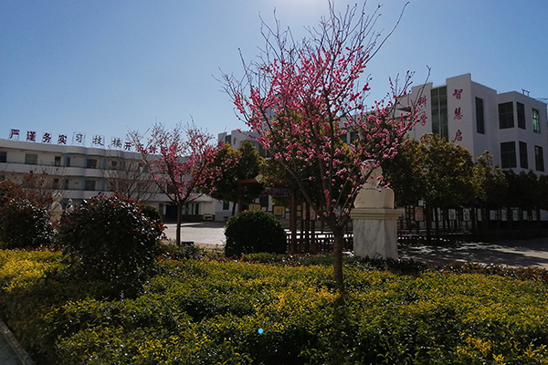 盐源县职业技术中学校
