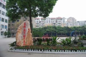 2024年成都市新津区成外学校学校简介_办学思路是什么