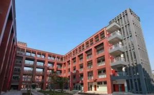 2022年乐山市市中区育贤中等职业学校收要多少分