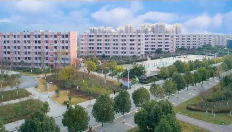 龙泉驿区航空学校