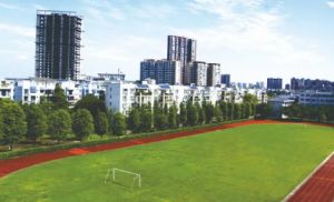 四川理工技师学院幼儿教育专业工作内容|就业待遇