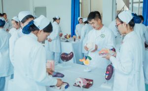 成都职业护士学校那个专业比较好