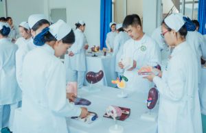 四川护士学校招生分数是多少